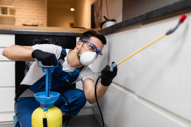Reliable Mccoll, SC Pest Control Solutions