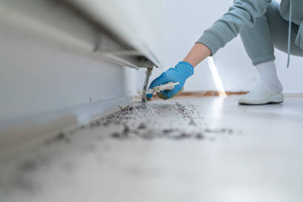 Best Pest Prevention Services  in Mccoll, SC
